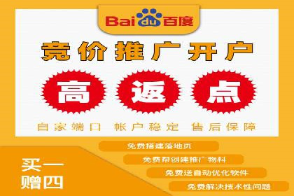 行业领先SEM托管代运营案例